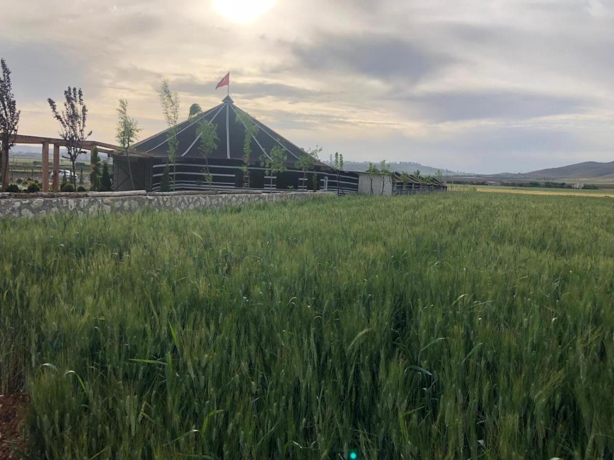 Gobeklitepe Cadir Saray Hotel Sanlıurfa Zewnętrze zdjęcie